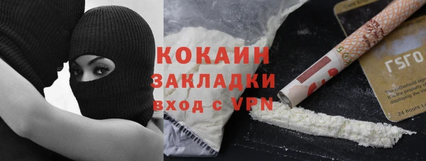 гашик Дмитровск
