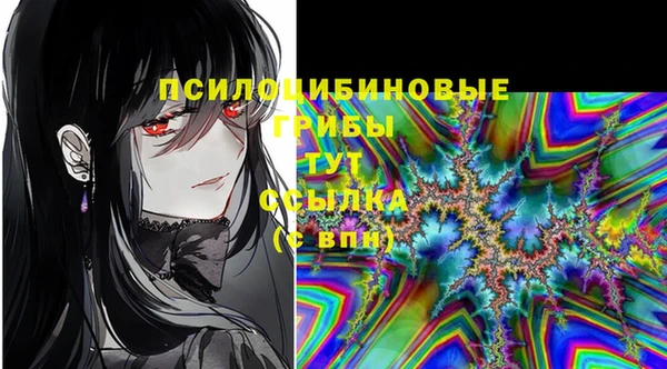 МДМА Дмитров