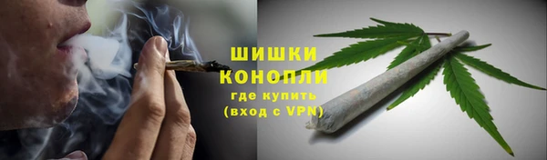 гашик Дмитровск