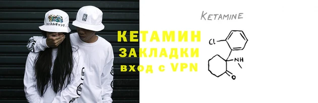 гашик Дмитровск