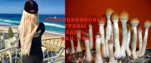 МДМА Дмитров