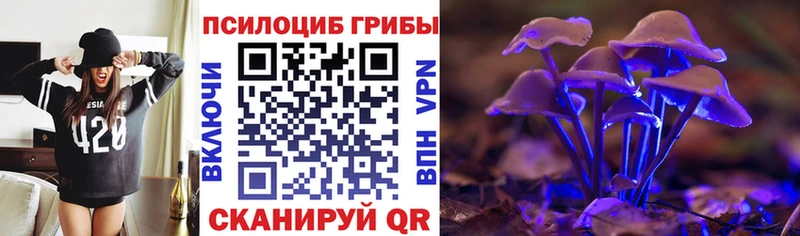 Псилоцибиновые грибы мухоморы  Купить закладки  Кизляр 